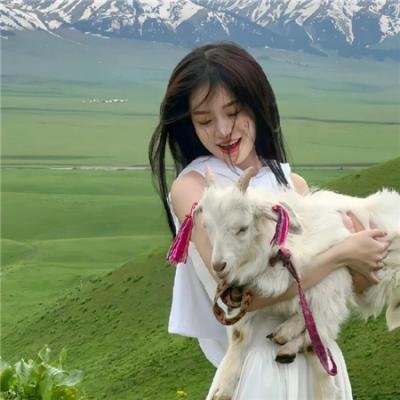 笨贼龙虎榜