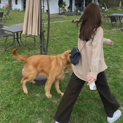 欧耶芭蕾